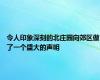 令人印象深刻的北庄园向郊区做了一个盛大的声明