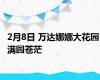 2月8日 万达娜娜大花园 满园苍茫