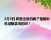 2月9日 那里出售的房子是用彩色墙壁装饰的吗？