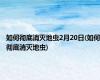 如何彻底消灭地虫2月20日(如何彻底消灭地虫)