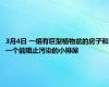 3月4日 一组有巨型植物盆的房子和一个能阻止污染的小排屋