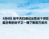 3月6日 埃平夫妇通过出售这个郊区最古老的房子之一赚了数百万美元