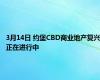 3月14日 约堡CBD商业地产复兴正在进行中