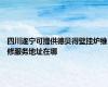 四川遂宁可提供德贝得壁挂炉维修服务地址在哪