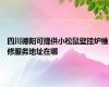 四川德阳可提供小松鼠壁挂炉维修服务地址在哪