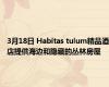 3月18日 Habitas tulum精品酒店提供海边和隐藏的丛林房屋