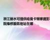 浙江丽水可提供哈曼卡顿家庭影院维修服务地址在哪