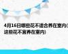 4月16日哪些花不适合养在室内(这些花不宜养在室内)