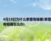 4月19日为什么家里有蟑螂(家里有蟑螂怎么办)