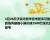 4月26日沃森湾春季房市繁荣可爱的挡风玻璃小屋价值1500万美元的豪宅