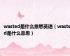 wasted是什么意思英语（wasted是什么意思）