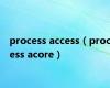 process access（process acore）