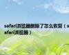 safari浏览器删除了怎么恢复（safari浏览器）