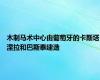 木制马术中心由葡萄牙的卡斯塔涅拉和巴斯泰建造