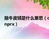 除牛皮绒是什么意思（cnprx）