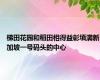 梯田花园和稻田相得益彰填满新加坡一号码头的中心