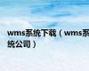 wms系统下载（wms系统公司）