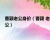 曹颖老公身价（曹颖 老公）