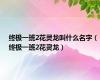 终极一班2花灵龙叫什么名字（终极一班2花灵龙）