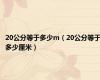 20公分等于多少m（20公分等于多少厘米）