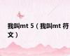 我叫mt 5（我叫mt 符文）