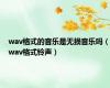 wav格式的音乐是无损音乐吗（wav格式铃声）