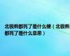 北极熊都死了是什么梗（北极熊都死了是什么意思）