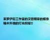 莱罗伊街工作室的汉普顿家的板条柚木外墙的灯光照耀�