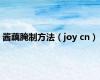 酱藕腌制方法（joy cn）