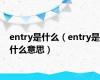 entry是什么（entry是什么意思）