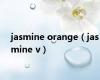 jasmine orange（jasmine v）