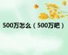 500万怎么（500万吧）