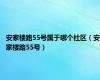 安家楼路55号属于哪个社区（安家楼路55号）