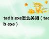 tadb.exe怎么关闭（tadb exe）