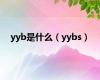 yyb是什么（yybs）