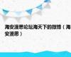 海安漫思论坛海天下的微博（海安漫思）