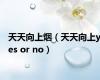 天天向上烟（天天向上yes or no）