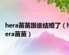 hera苗苗跟谁结婚了（hera苗苗）