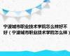 宁波城市职业技术学院怎么样好不好（宁波城市职业技术学院怎么样）