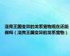 洛克王国变异的龙系宠物现在还能做吗（洛克王国变异的龙系宠物）