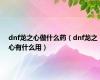 dnf龙之心做什么药（dnf龙之心有什么用）