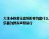 大珠小珠落玉盘所形容的是什么乐器的弹奏声琵琶行