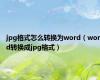 jpg格式怎么转换为word（word转换成jpg格式）