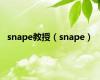 snape教授（snape）