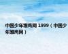 中国少年雏鹰网 1999（中国少年雏鹰网）