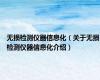 无损检测仪器信息化（关于无损检测仪器信息化介绍）