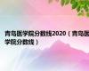 青岛医学院分数线2020（青岛医学院分数线）