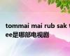 tommai mai rub sak tee是哪部电视剧