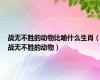 战无不胜的动物比喻什么生肖（战无不胜的动物）