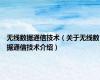 无线数据通信技术（关于无线数据通信技术介绍）